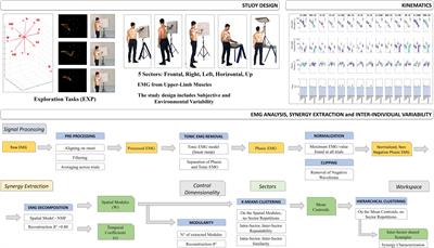 A Comprehensive Spatial Mapping of Muscle Synergies in Highly Variable Upper-Limb Movements of Healthy Subjects